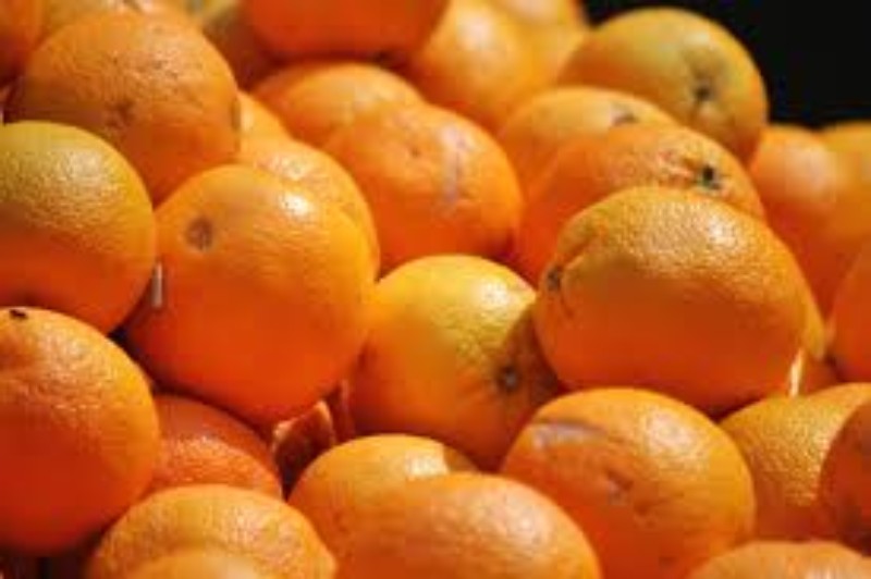 Koko Oショッピング ブラッドオレンジとは 愛媛県の栽培農家さんに聞いた 健康面からも注目される希少柑橘